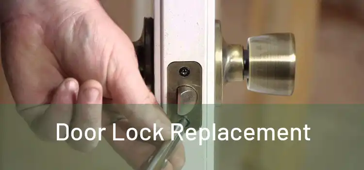  Door Lock Replacement 